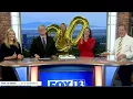 Max Roth marks 20 years at FOX 13 News