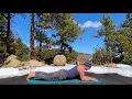 15 min Morning Yoga Stretch (Full Body Sunrise Yoga Class)