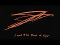 Pulaski at Night - Andrew Bird
