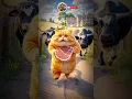 Download Lagu Jis zaat ka quran me bhi zikre nabi hai  vo mera 😭🙏🏻#ringtone​ #shortvideo​ #beauty​ #islam​ #allah​
