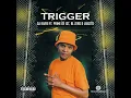 Trigger