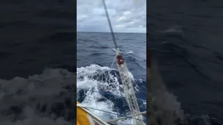 Downwinder! 🌬️