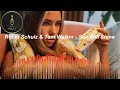 Robin Schulz & Tom Walker - Sun Will Shine