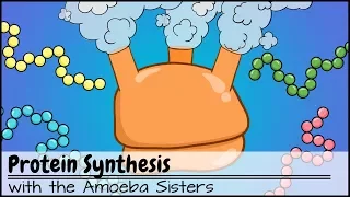 Download Protein Synthesis (Updated) MP3