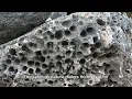 5 Fascinating Facts about Lava Rock