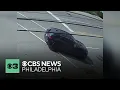 Hatboro police search for hit-and-run driver of teen bicyclist