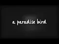 Lewis Capaldi - ​when the party’s over (lyrics)