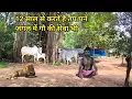 Download Lagu 12 साल से बीहड़ घने जंगल में करते हैं तपस्या बनाया बहुत ही सुंदर आश्रम करते हैं गौ सेवा 