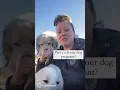 Part 2 of 3 Answer is our dog pregnant or not