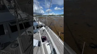 A Boaters Nightmare – Sargasso Seaweed! #shorts