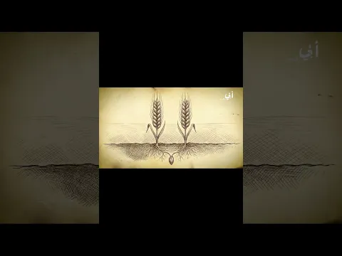 هل جزاء الإحسان إلا الإحسان #احمد_الشقيري