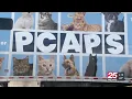 PCAPS to help pets find forever homes by waiving adoption fees