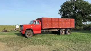 1974 Chevy C65 Dump Grain Truck
