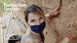 Architects Are Using Mud To Build Sustainable Homes 