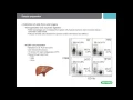 Optimize your Flow Cytometry - Best Practices for Sample Preparation Staining and Analysis