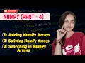 NumPy Part 4 Join Split Search Arrays in Python for Data Science ML