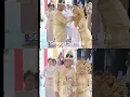Download Lagu Acara pernikahan cahu dan Aulia semoga bahagia selamanya aamin #shortsviral #love