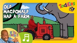 Download Old MacDonald Had A Farm | SILLY SONGS! | Toddles TV MP3