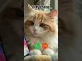Download Lagu Fluffy calling #ringtone #cat #trending #cutecat #youtubeshorts #viralshort #calling #kitten