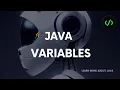 Variables in JAVA explanation with code