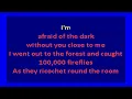 Magnetic Fields -  100,000 Fireflies (karaoke)