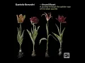 Quartet in F Major, K. 370/368b: II. Adagio