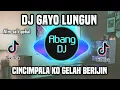 Download Lagu DJ LUNGUN GAYO PERALA REMIX VIRAL TIKTOK TERBARU 2023