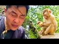 Dad never gave up on search for Monkey Kaka