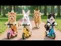 Lagu Mother Cat Bakes Birthday Cakes to Surprise Kitten with a New Scooter 🎂🛴❤️ | A Sweet Story of Love