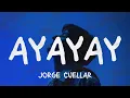Jorge Cuellar - AYAYAY (Letra)