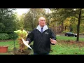 Wooster celebrates Arbor Day
