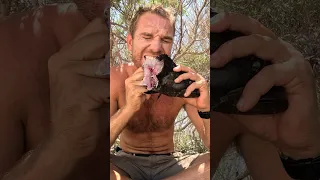 ISLAND SURVIVAL: Eating A Raw Fish Head