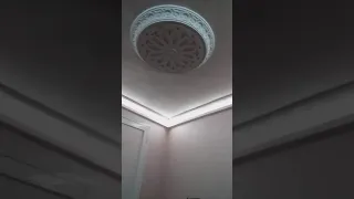 فضيحة اليوم 