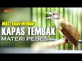 Download Lagu MASTERAN KAPAS TEMBAK GACOR DURASI MEWAH UNTUK MATERI ISIAN