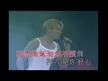 我恨我痴心   -  劉德華