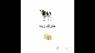 بص الهبل احلب بقره واكل رز هتنزل لك رز بلبن دندنها