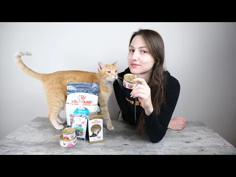 Download MP3 Royal Canin Cat Food Review