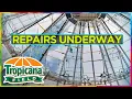 Download Lagu Mixed Reactions as Tropicana Field Roof gets replaced