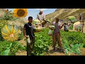 Download Lagu 🌦Nomadic Life: Nomadic Harvest🌿🌱 | The Magic of Nomadic Garden and Rainfall Among Mountain Nomads🌧🔥