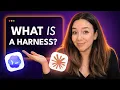 What is an AI harness I build one live in less than 30 minutes