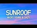 Download Lagu Nicky Youre, dazy - Sunroof (Lyrics)