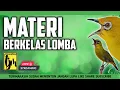Download Lagu 🔴  LIVE Masteran Pleci Kelas Lomba Tembakan Mewah