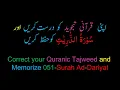 Download Lagu Memorize 051-Surah Al-Zariyat (complete) (10-times Repetition)