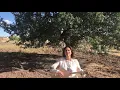 Akşam Olur Karanlığa Kalırsın (Oy Gelin) - NAZLI ÖKSÜZ