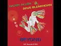 Beyond - Harry Allen & Dave Blenkhorn