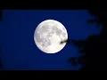 Rare lunar eclipse could coincide with sunrise next week