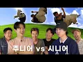 Download Lagu Super Junior roasting Epik High for 34 mins [ENG CC]