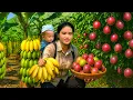 Download Lagu Harvested Bananas and Passion Fruit – Sold Them with My Child to Support Our Life