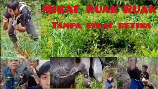 Download ruak ruak pikat mp3 suara keras MP3