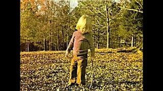 Download Allman Brothers Band   Wasted Words with Lyrics in Description MP3